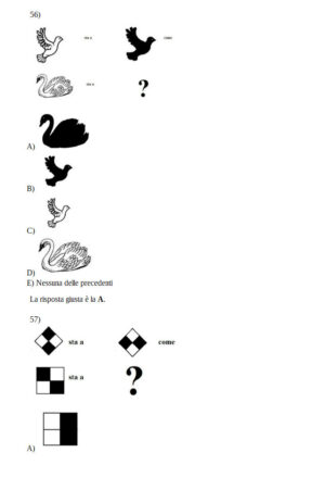 figure astratte quiz psicoattitudinali per tutti i concorsi di Veronica Caliandro